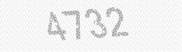 Visual security code — type the characters shown in the image