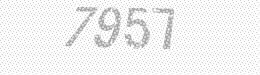 Visual security code — type the characters shown in the image